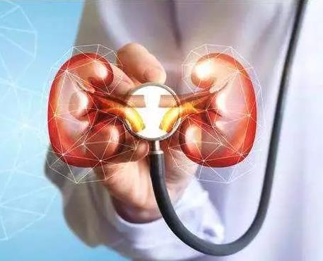 多囊肾有哪些危害?患者日常生活应注意哪些? 多囊肾有哪些危害?患者日常生活应注意哪些?