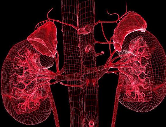 慢性肾病会引起高血压吗 慢性肾病会引起高血压吗